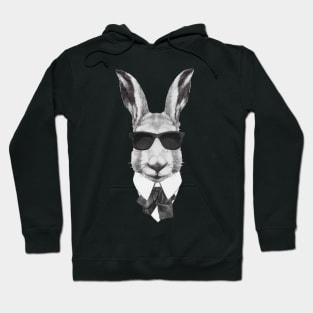 Rabbit In Black Hoodie